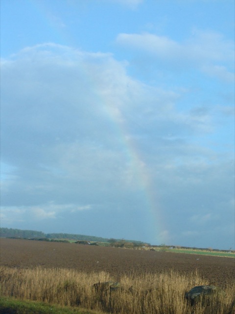 rainbow_zoom