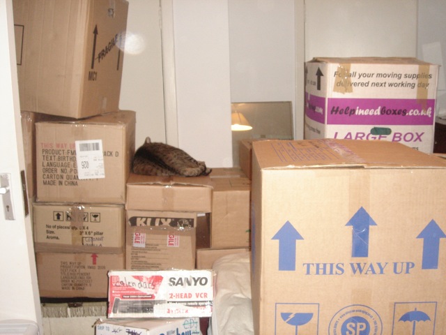 01boxes