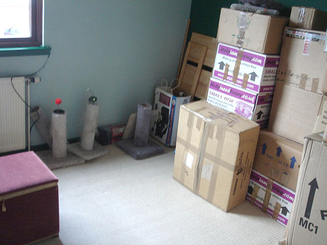 07anneboxes