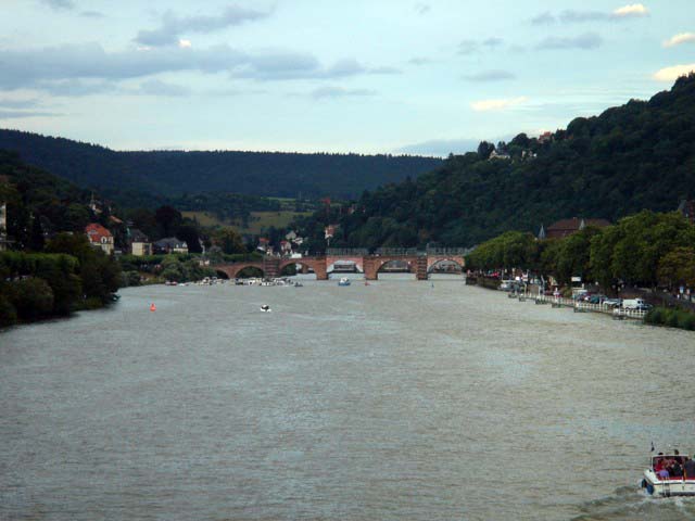 08neckar
