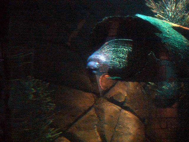 24moray