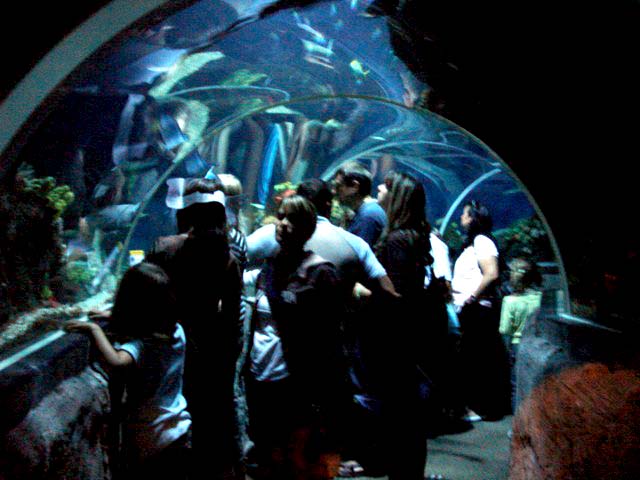 30tunnel