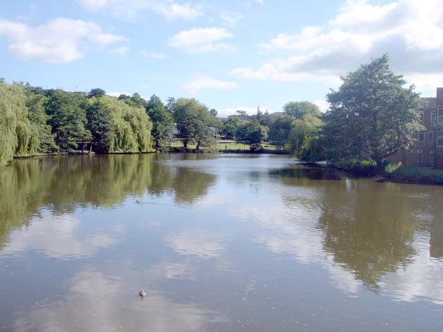 11pond