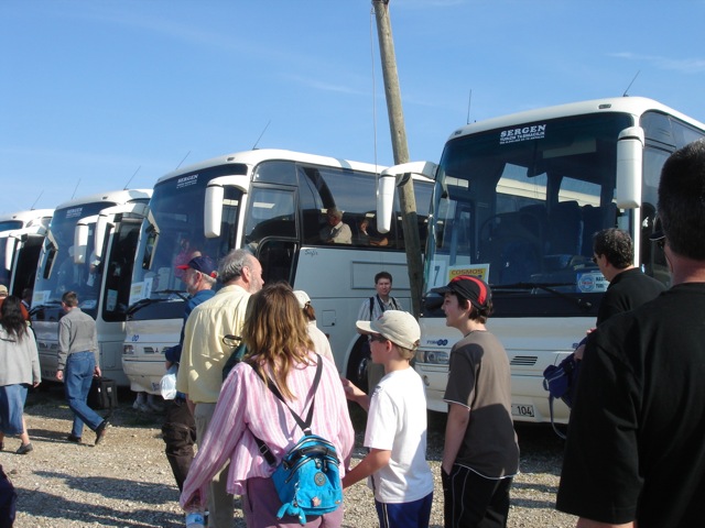 buses