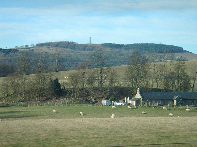 view_sheep