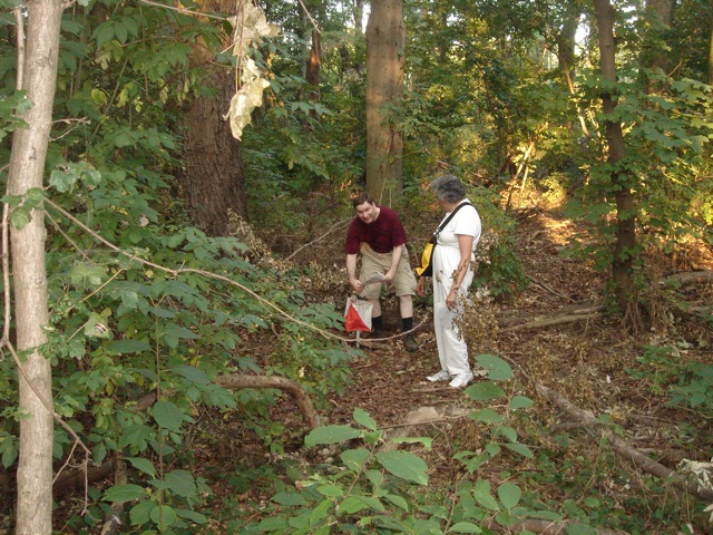 33orienteering