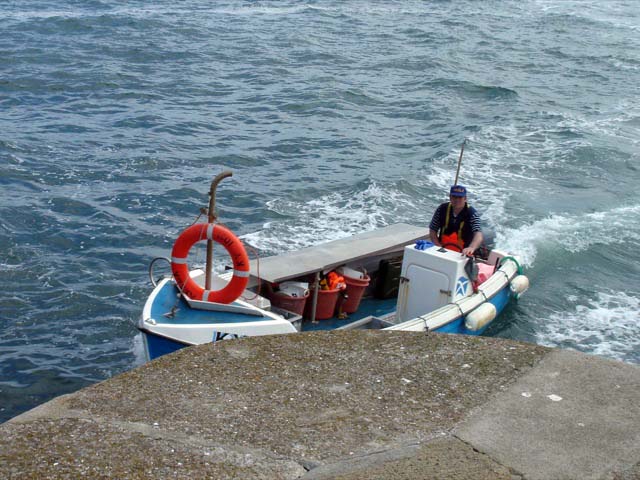 21lobsterman