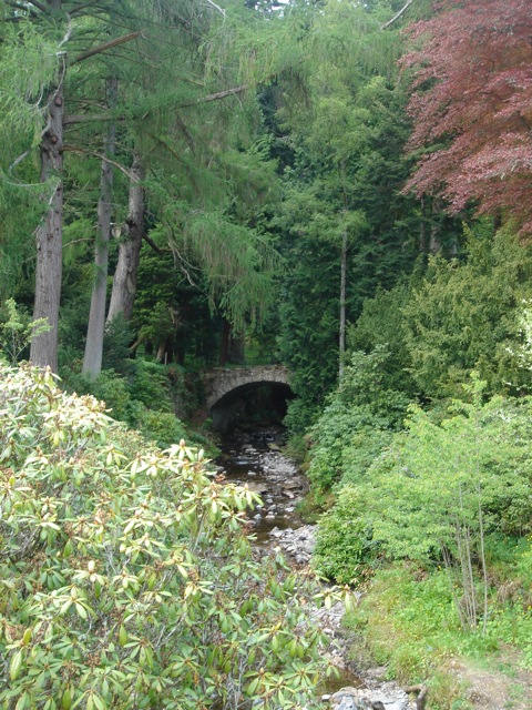 39creek