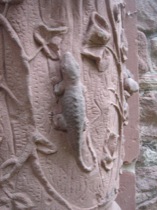 20lizard