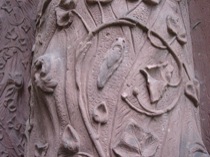 23cicada