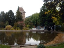 36park