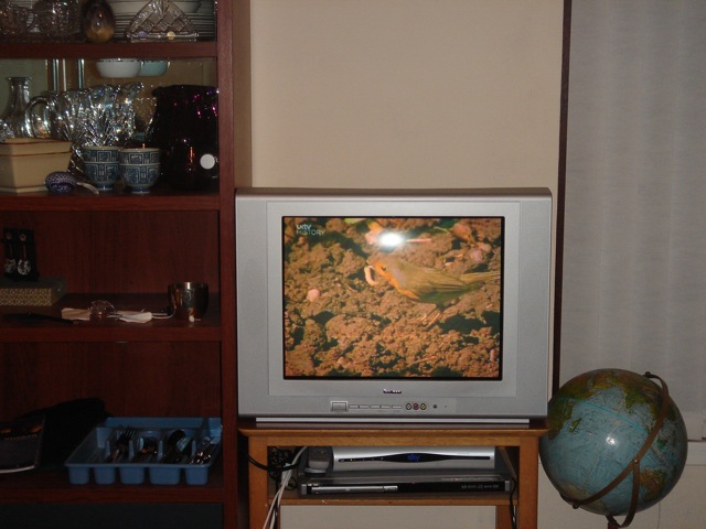 09TVtable
