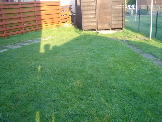 27backgarden