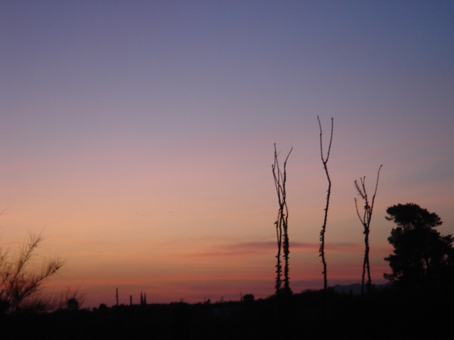 35sunset
