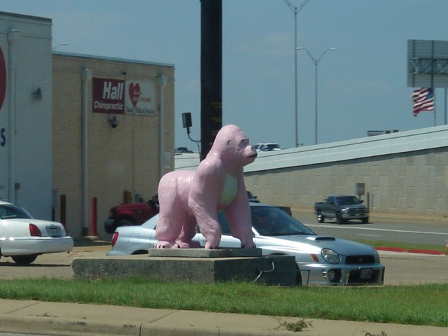 59pinkgorilla