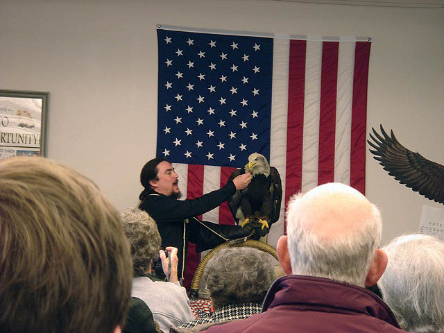 43eaglefeeding