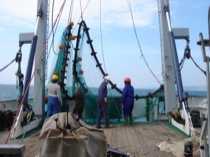 35ottertrawl