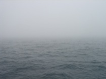 54fog