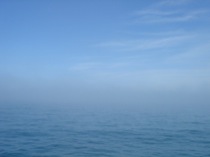 56waterfogsky
