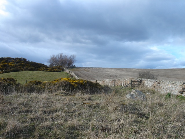 countryside