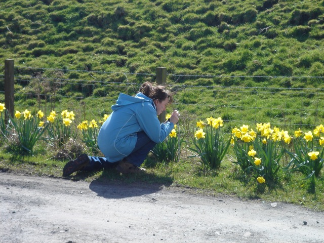 margaret_flowers