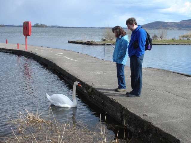 swan_pier