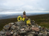 19cairnomount