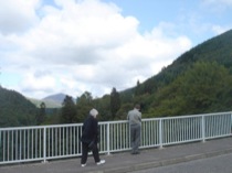 41bridge
