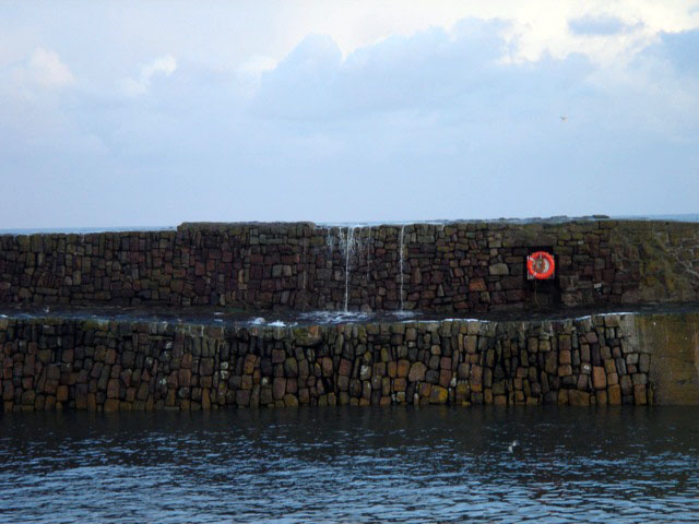 harbour_wave