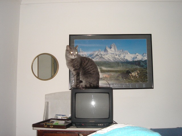 indy_tv