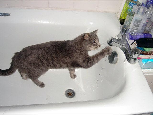 indy_water_play