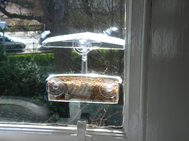 bird_feeder