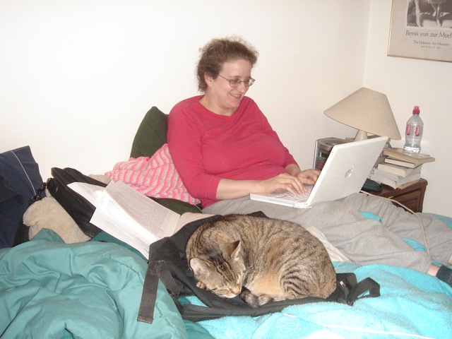 22anneworkbed