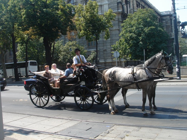 50vienna