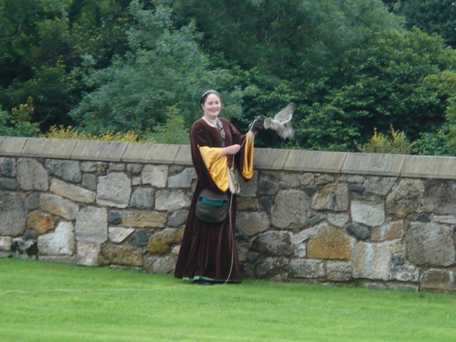 51falconry