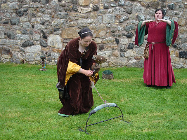14falconers