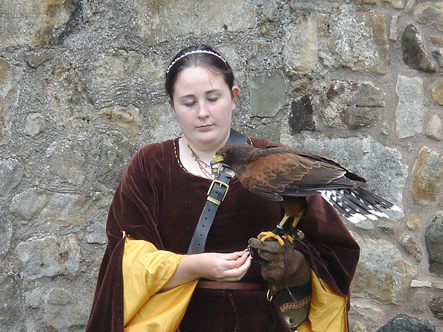 16harrishawk