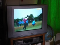 33tigerwoods
