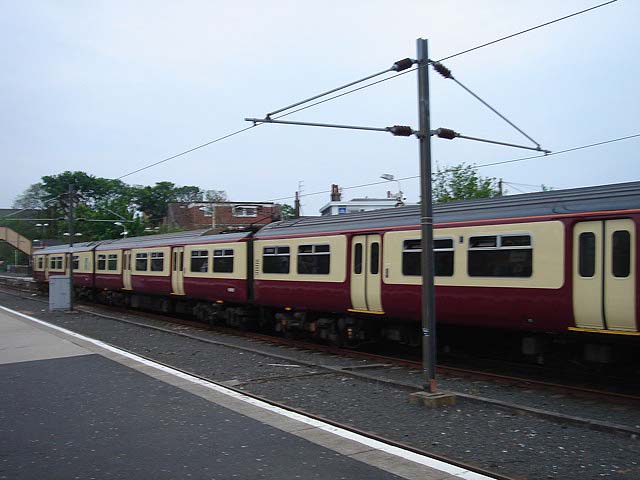 31train