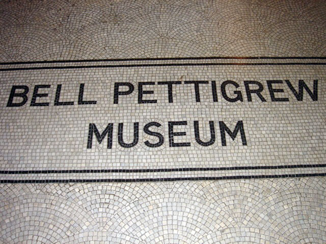 pettigrew_tiles