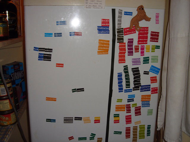13fridgemagnets