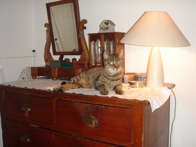 31dresser