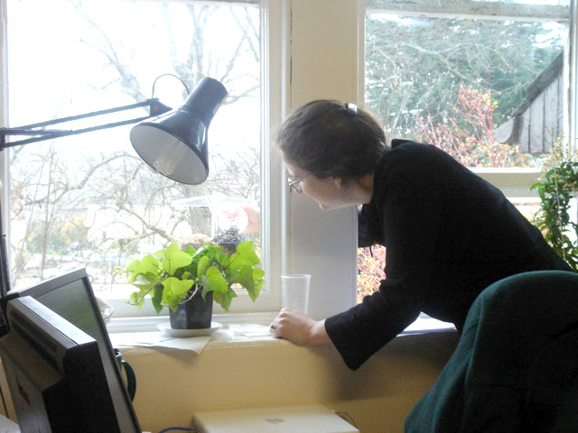 06annebirdfeeder