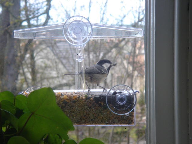13coaltitbirdfeeder