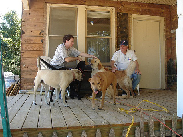 11daviddaddogs