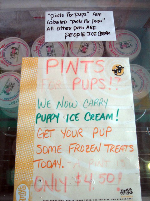 34puppints