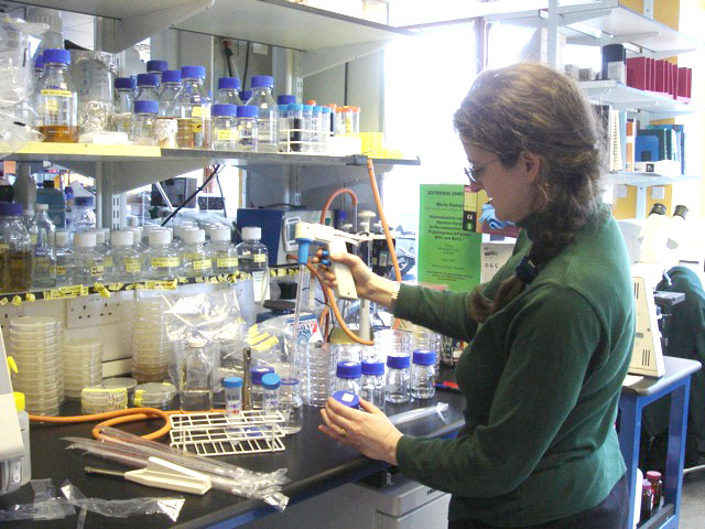 anne_lab