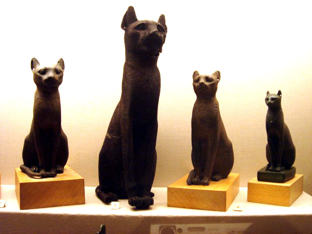 egypt_cats