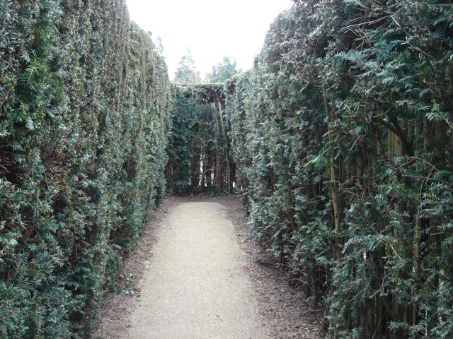hampton_maze_deadend