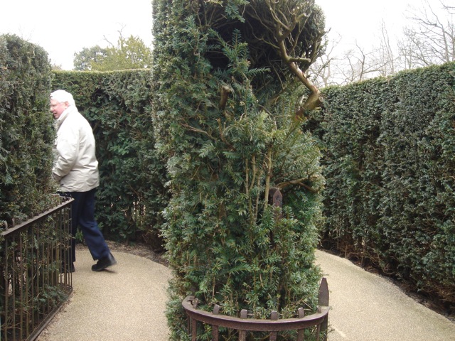hampton_maze_megdad